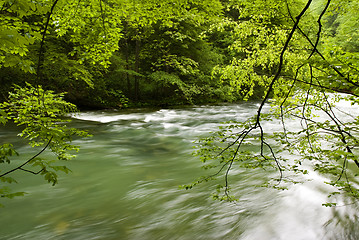 Image showing river