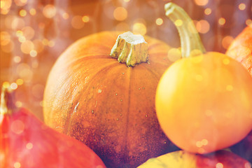 Image showing close up of pumpkins on wooden table at home