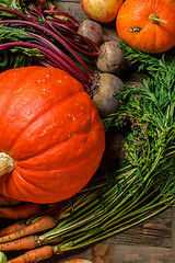 Image showing Orange pumpkin and harvest vegetables