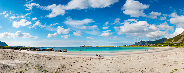 Image showing Beach Lofoten archipelago islands beach