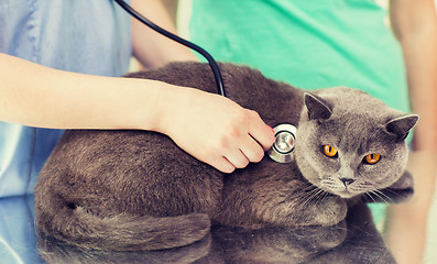 Image showing close up of vet with stethoscope and cat at clinic