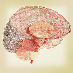 Image showing Creative concept of the human brain. 3D illustration. Vintage st