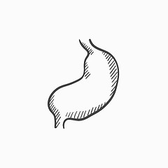 Image showing Stomach sketch icon.
