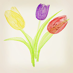 Image showing Tulip flower. 3D illustration. Vintage style.