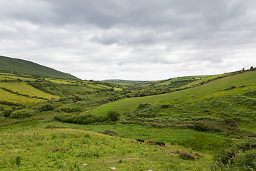 Image showing farmland fields at wild atlantic way in ireland