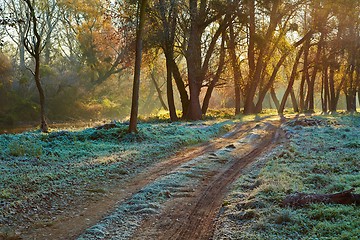 Image showing Autumn morning landscape