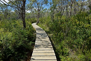 Image showing Walking track with wooden board