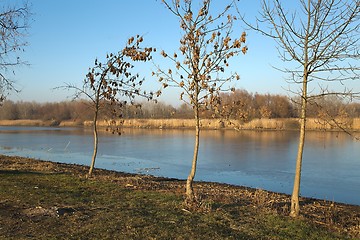 Image showing Lakeside autumn landscape