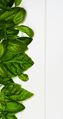 Image showing Border of Basil Leafs