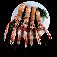 Image showing Delicious Raw Langoustines
