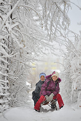 Image showing Happy children sliding