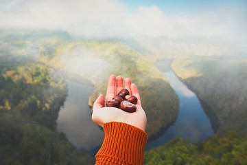 Image showing Foggy morning in amazing nature