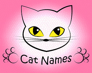 Image showing Cat Names Represents Kitty Pets And Feline