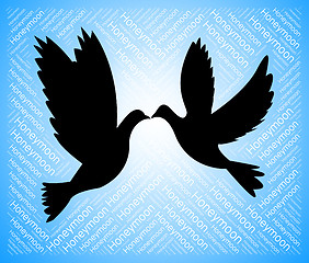 Image showing Honeymoon Doves Indicates Love Birds And Destination