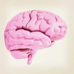 Image showing human brain. 3D illustration. Vintage style.