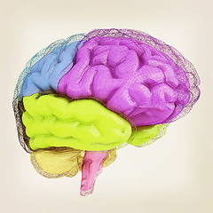 Image showing Creative concept of the human brain. 3D illustration. Vintage st