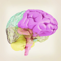 Image showing Creative concept of the human brain. 3D illustration. Vintage st