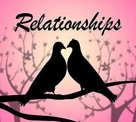 Image showing Relationships Doves Shows Find Love And Affection