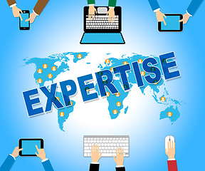 Image showing Business Expertise Represents Skill Web And Corporation