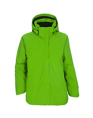 Image showing Green male winter jacket isolated