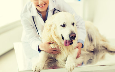 Image showing close up of vet with retriever dog at clinic