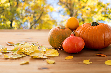 Image showing close up of pumpkins on wooden table outdoors