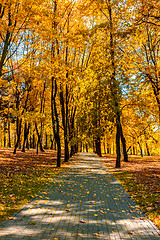 Image showing Autumn in park