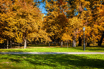 Image showing Autumn  in park