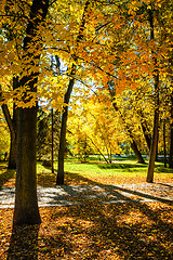 Image showing Autumn in park