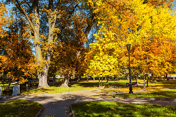 Image showing Autumn in park