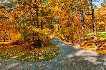 Image showing Autumn in park