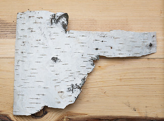 Image showing birch bark