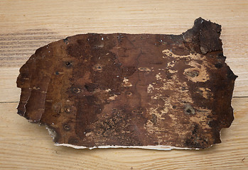 Image showing birch bark