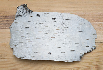 Image showing birch bark