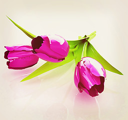 Image showing Tulip flower. 3D illustration. Vintage style.