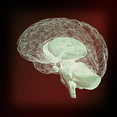 Image showing Creative concept of the human brain. 3D illustration. Vintage st