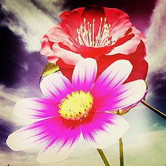 Image showing Beautiful Flower against the sky . 3D illustration. Vintage styl