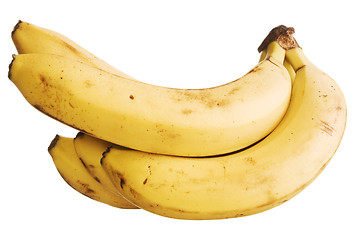 Image showing Bananas on white
