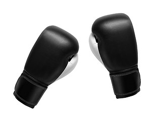 Image showing pair of  gloves