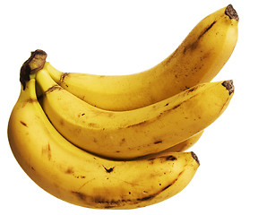 Image showing Bananas on white