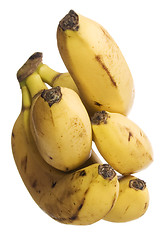 Image showing Bananas