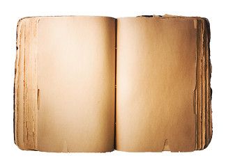 Image showing Blank old Book