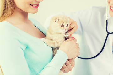 Image showing close up of vet with stethoscope and cat at clinic