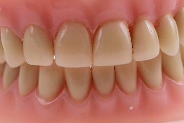 Image showing detail plastic teeth