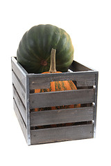 Image showing pumpkins in the wooden box