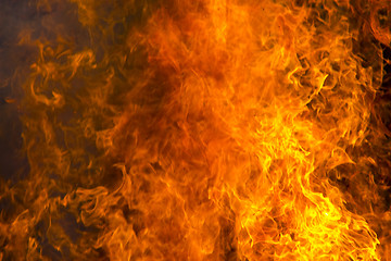 Image showing Outdoor burning fire and open flame