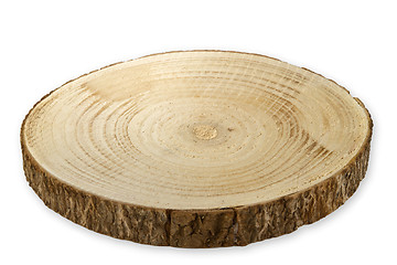 Image showing Tree cut from Birch