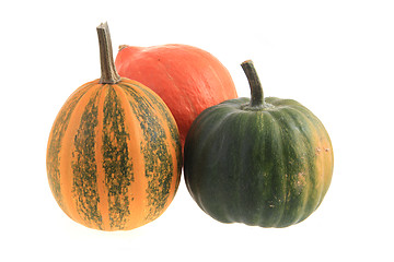 Image showing three pumpkins isolated