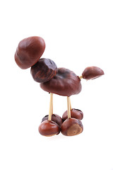 Image showing chestnuts animal isolated