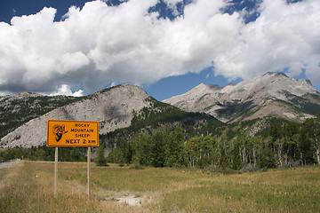 Image showing Rocky Mountain Sheep Warning